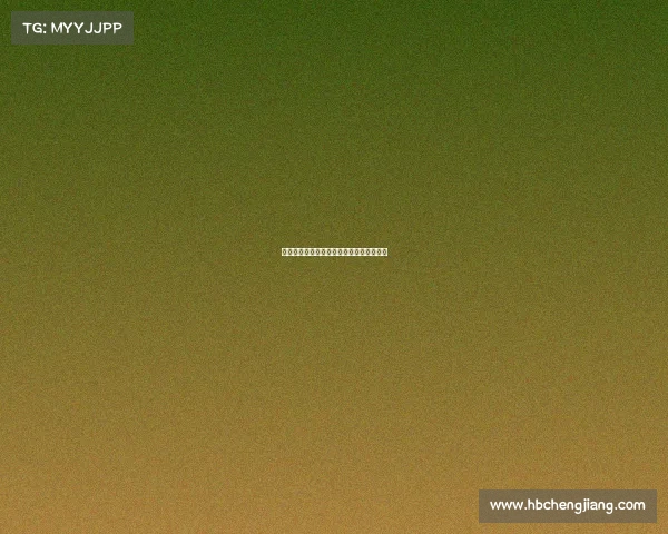 《石财电竞风云：财经赛道上的数字博弈》